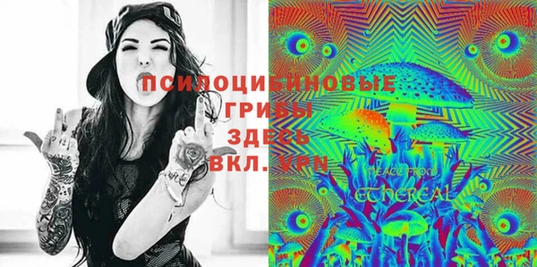 ПСИЛОЦИБИНОВЫЕ ГРИБЫ Ростов
