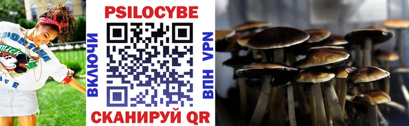 Галлюциногенные грибы Psilocybine cubensis купить наркотик Абаза