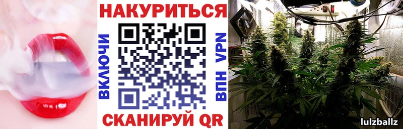 купить наркотики цена  Абаза  Каннабис сатива 
